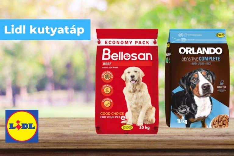 Lidl kutyatáp választéka – kis és nagy kedvenceinknek