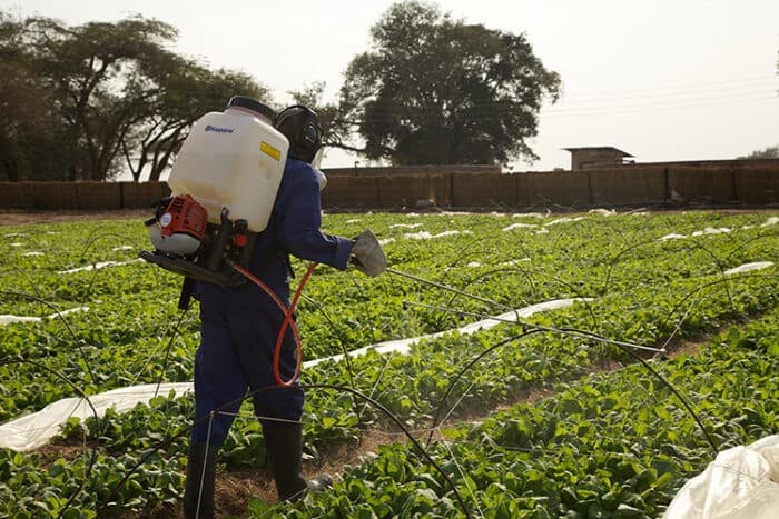 Husqvarna motoros háti permetező
