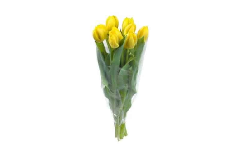 lidl tulipán csokor